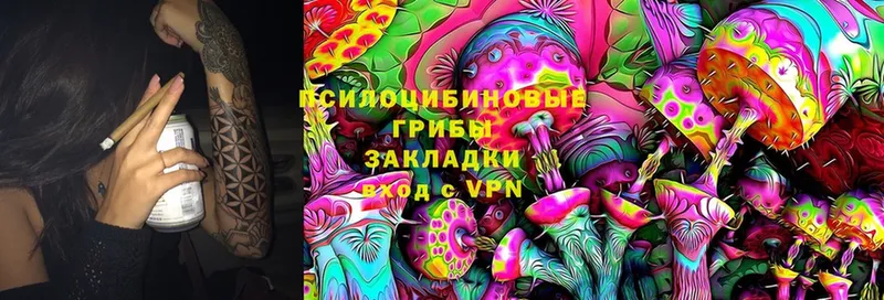 Галлюциногенные грибы Psilocybine cubensis  Гудермес 